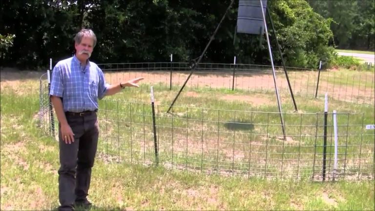 How to Keep Cows Away from Deer Feeder