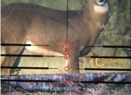 How to Sight a Crossbow Scope