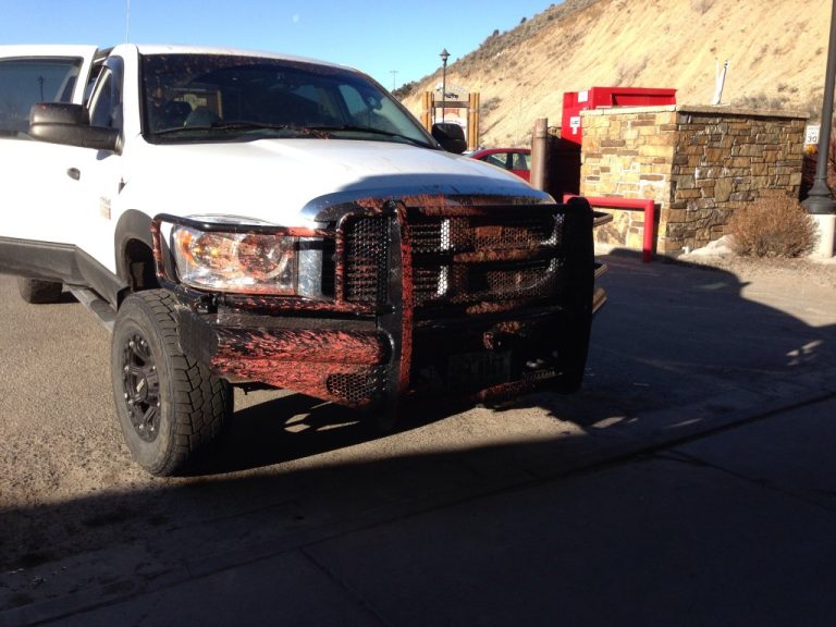 Ranch Hand Bumper Vs Deer