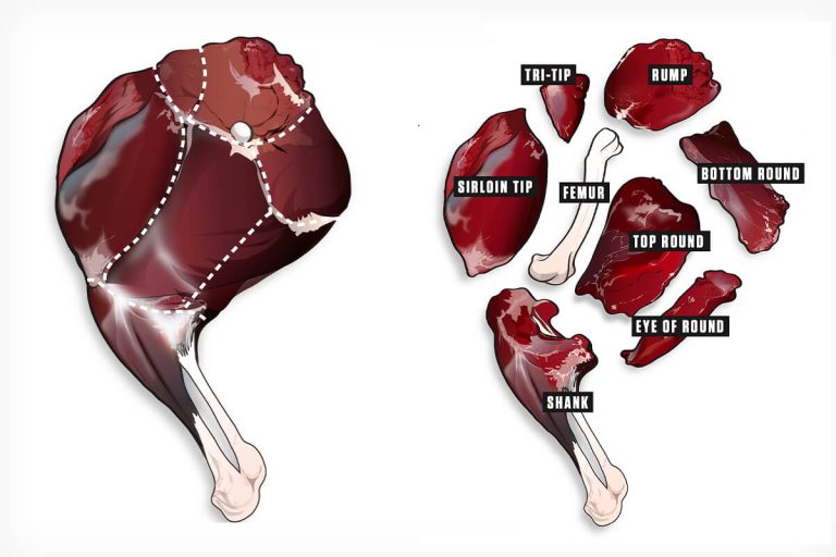 How to Cut Up a Deer Hind Quarter