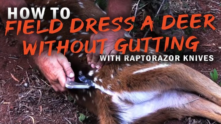 How to Dress a Deer Without Gutting It