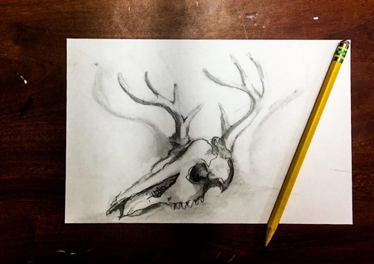 How to Draw Deer Skull