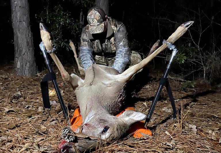 How Long Can a Deer Sit before Gutting