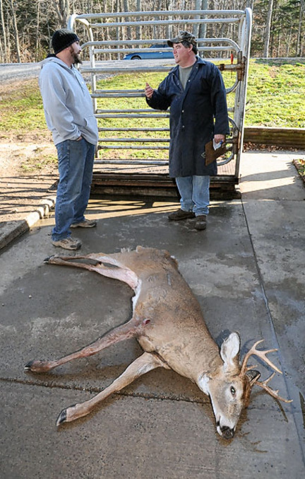 How Warm is Too Warm to Hang a Deer