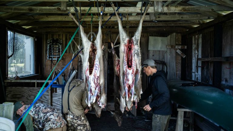 Hanging a Deer in the Garage