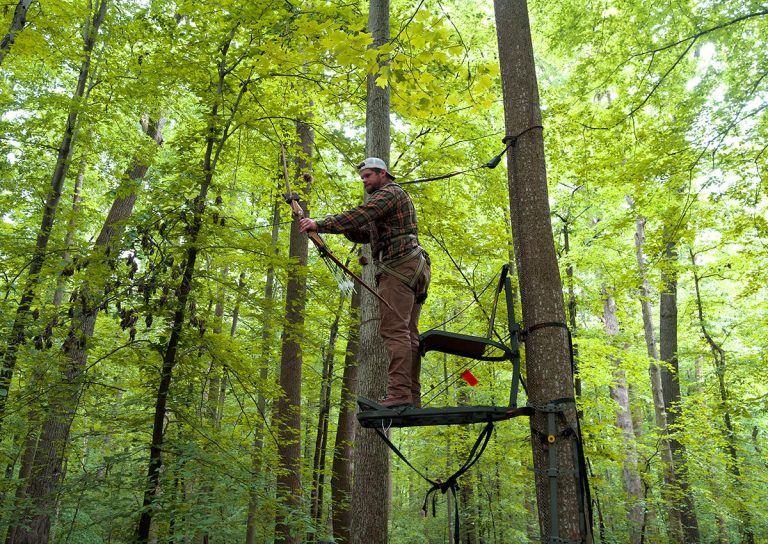 Review of Deer Hunting Tree Stands