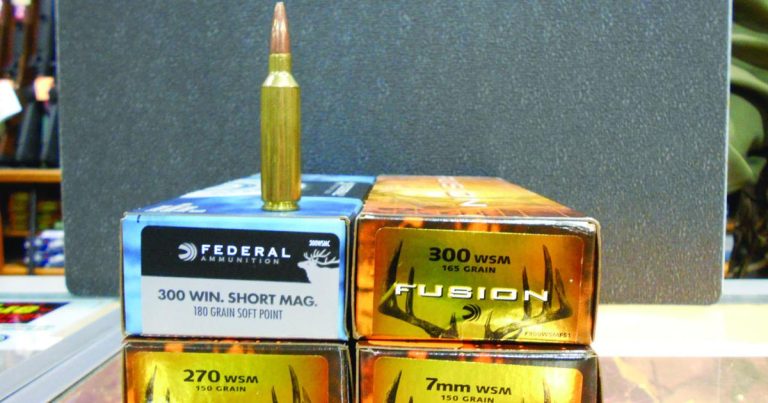 30-06 Ballistics: Unveiling the Power of 165 Grain vs 180 Grain Bullets