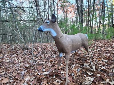 Deer Hunting Myths Debunked