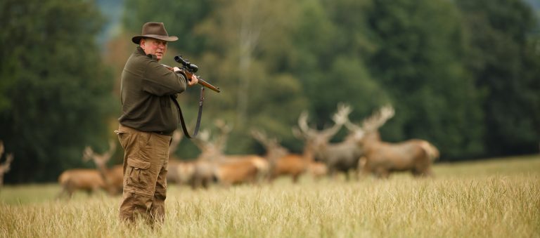 The Role of Weather in Deer Hunting