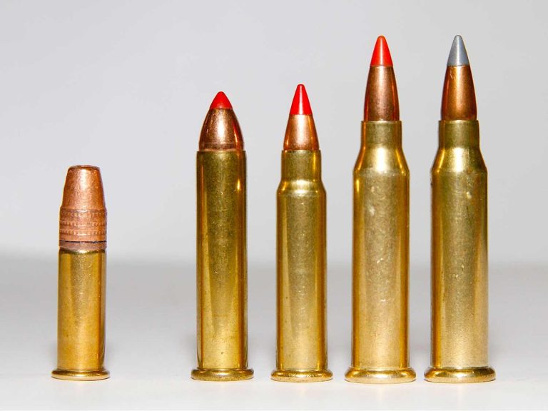 22-250 Vs 17 Hmr  : Uncovering the Power Behind These Rounds