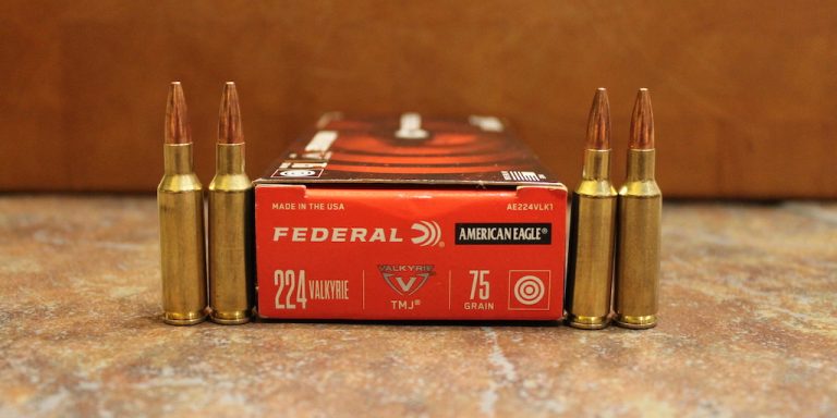 Power Comparison: 204 Ruger Vs 224 Valkyrie – Unveiling the Best