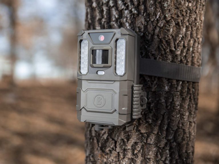 Best Game Cameras for Deer Hunting