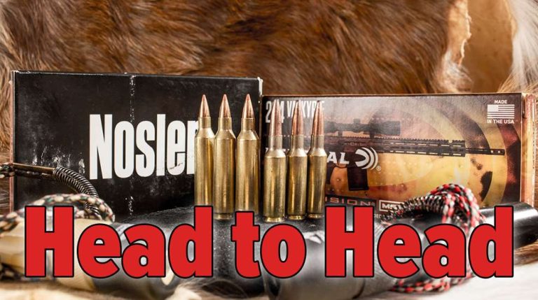 30 Nosler Vs 300 Weatherby: Unleashing the Ultimate Caliber Battle