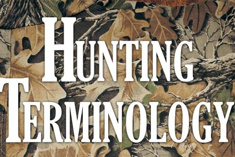 Deer Hunting Terminology