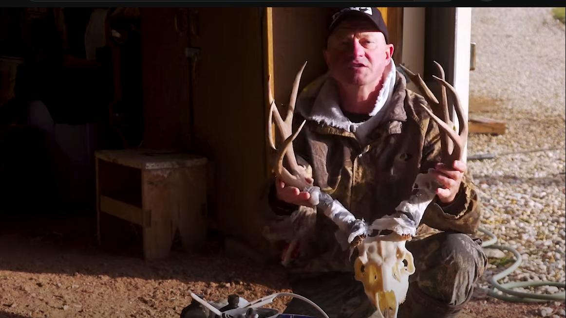 Borax on deer skull