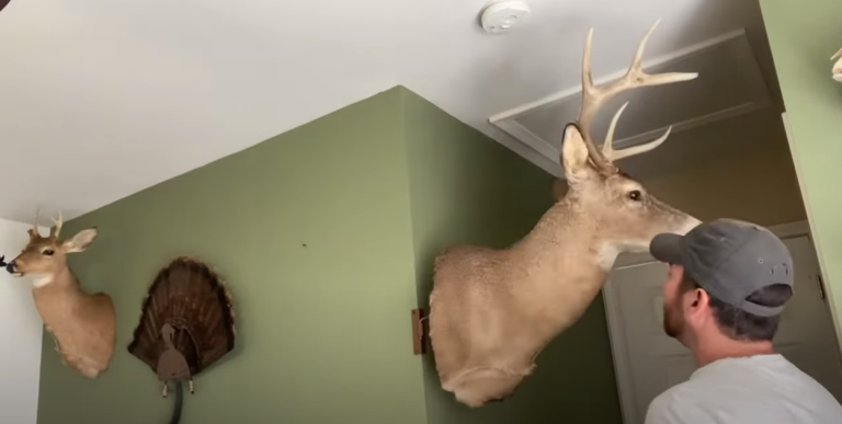 Can You Put a Deer Mount Outside