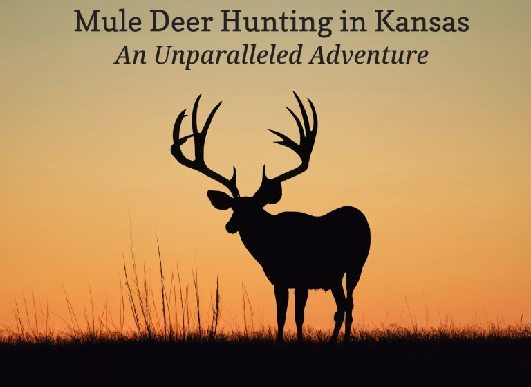 Kansas Mule Deer Hunting Public Land