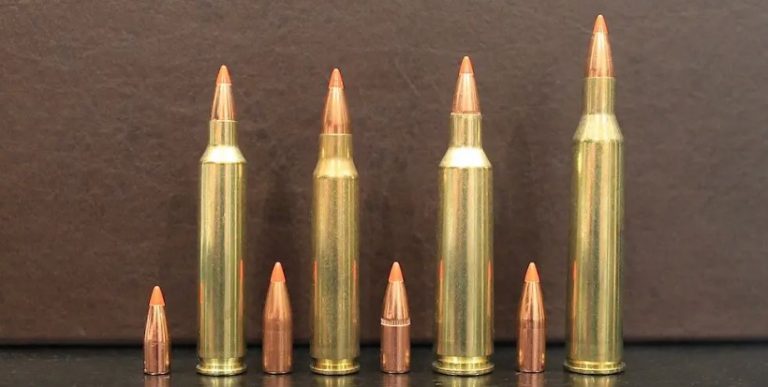 22-250 vs 6.5 Creedmoor: Which is Best for Deer Hunting?