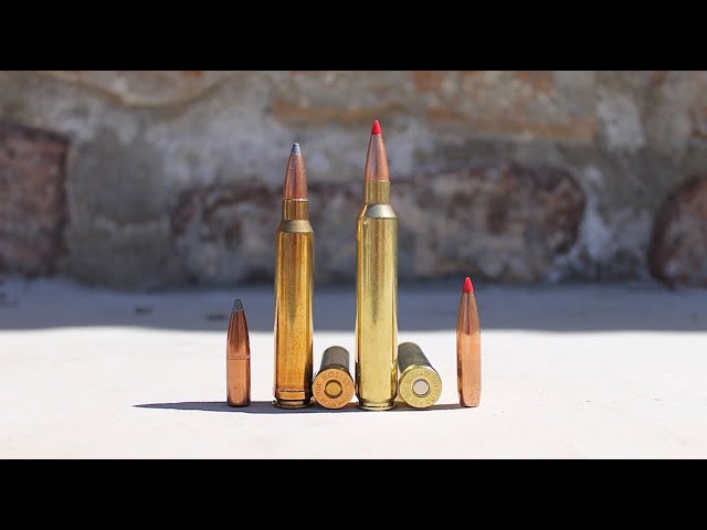 300 Rum Vs 300 Win Mag: Which Packs the Most Punch? - The Deer Hunting