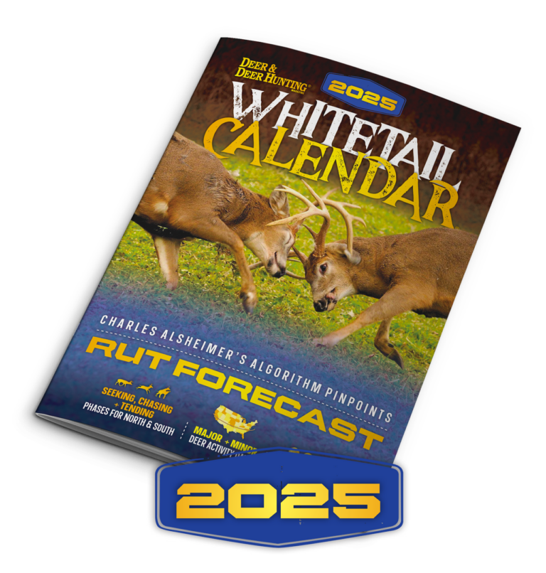 Deer And Deer Hunting Calendar