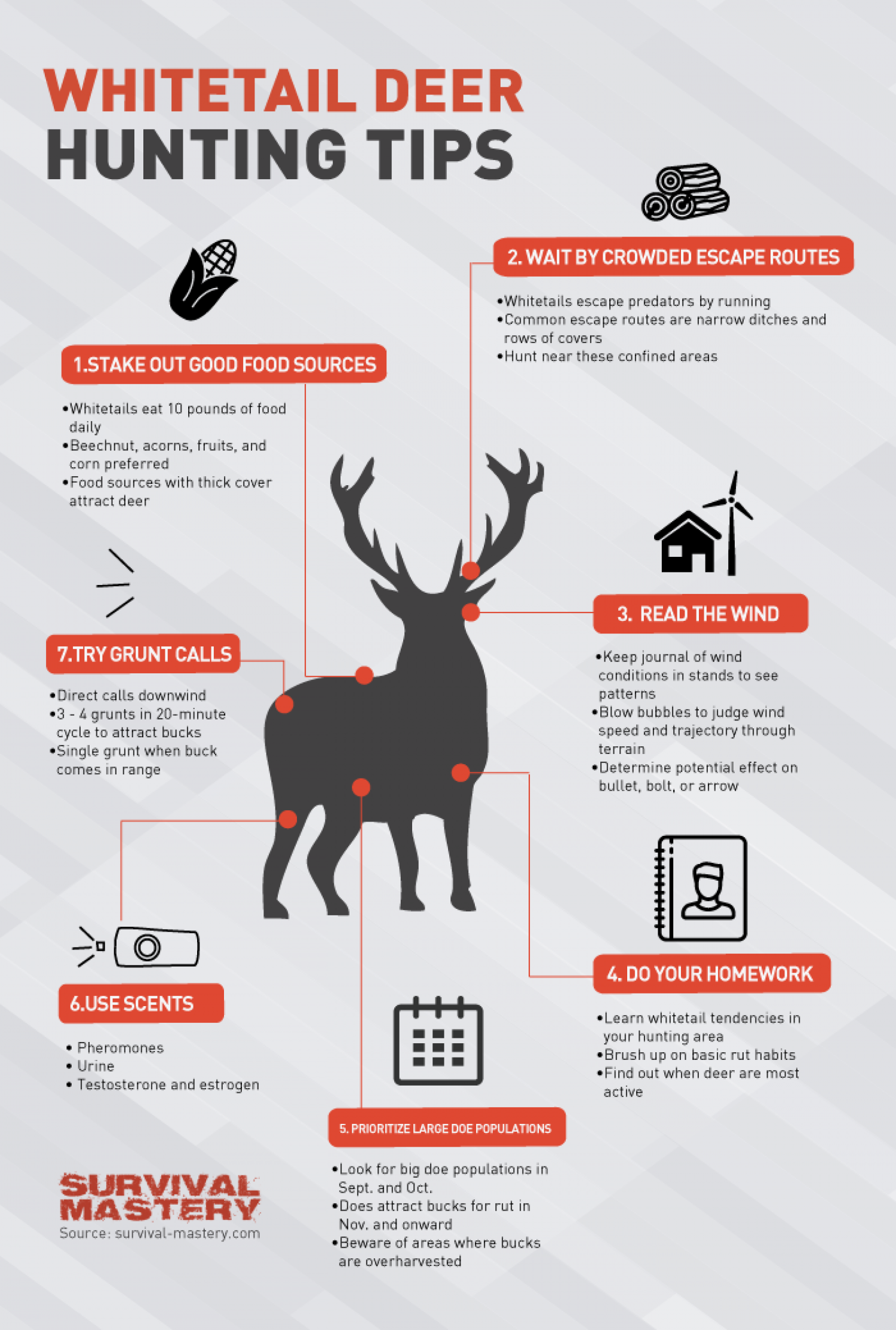 Deer Hunting Tips And Tricks