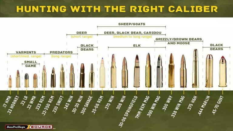 Popular Deer Hunting Calibers