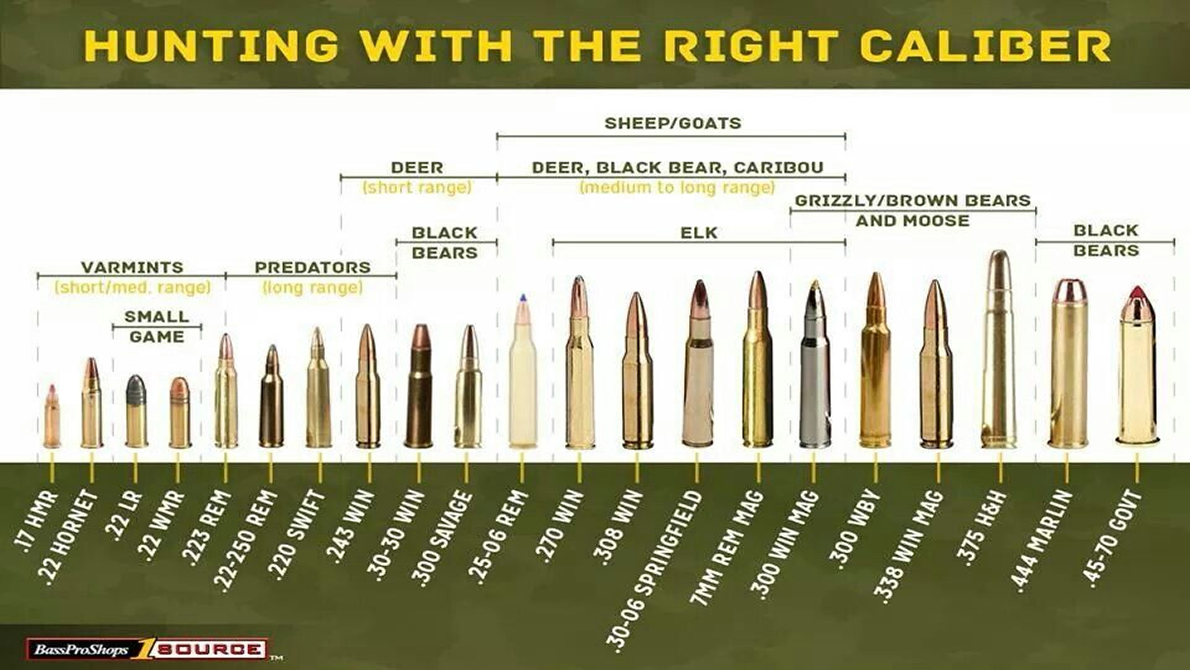 Popular Deer Hunting Calibers