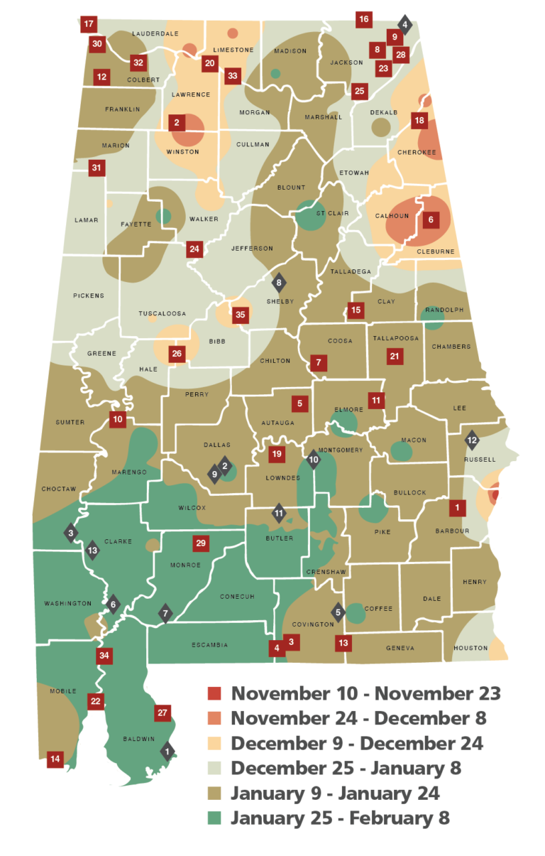 Alabama Deer Hunting Laws And Regulations