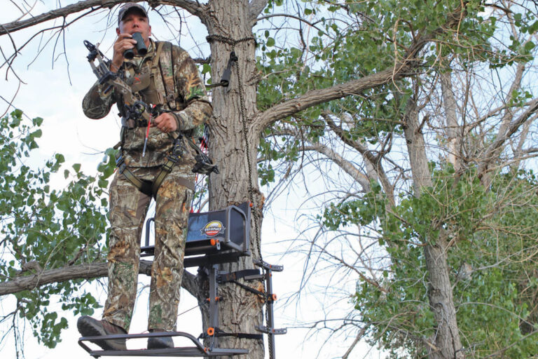 Best Deer Hunting Ladder Stands