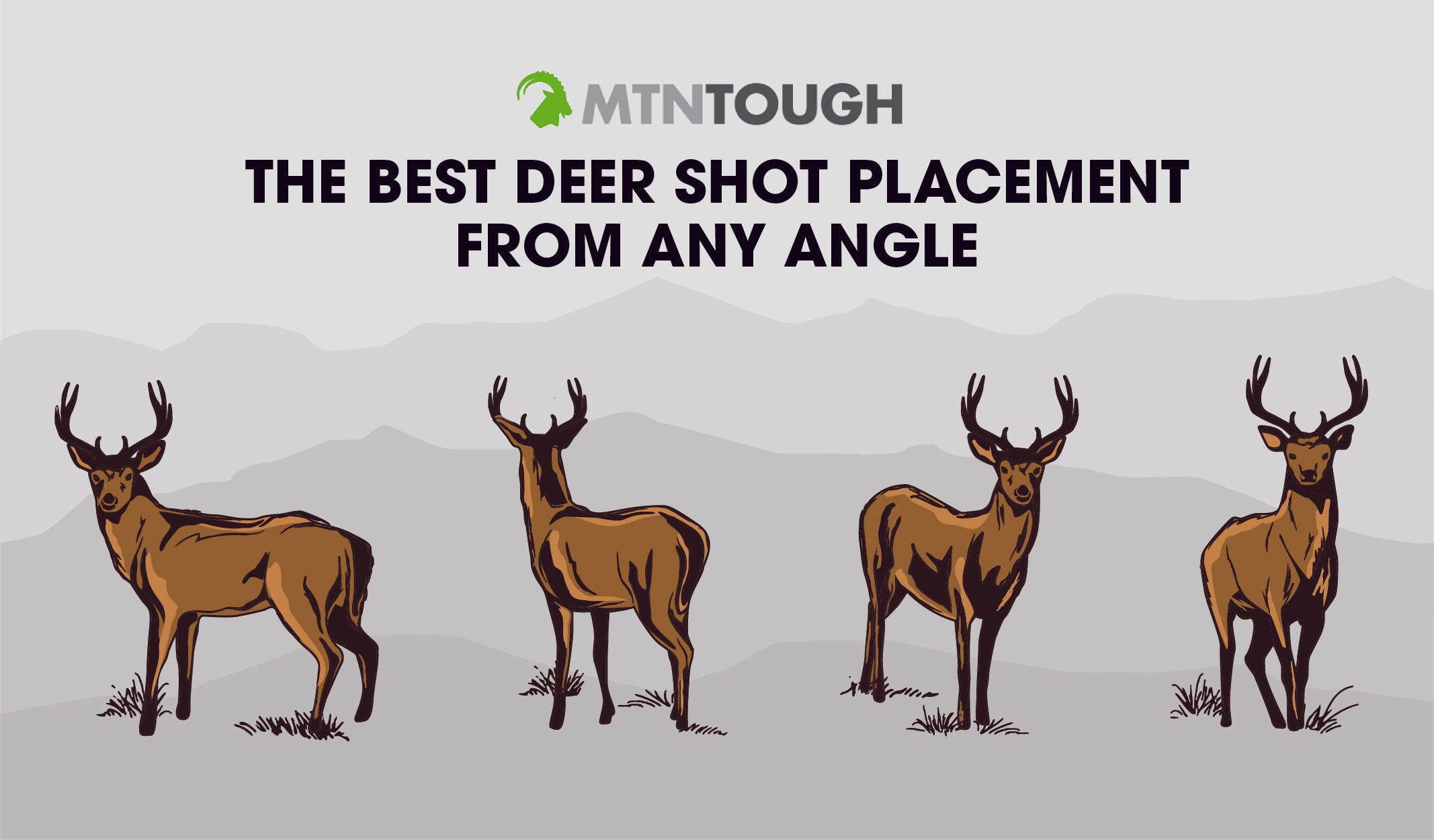 Best Deer Shot Placement Chart