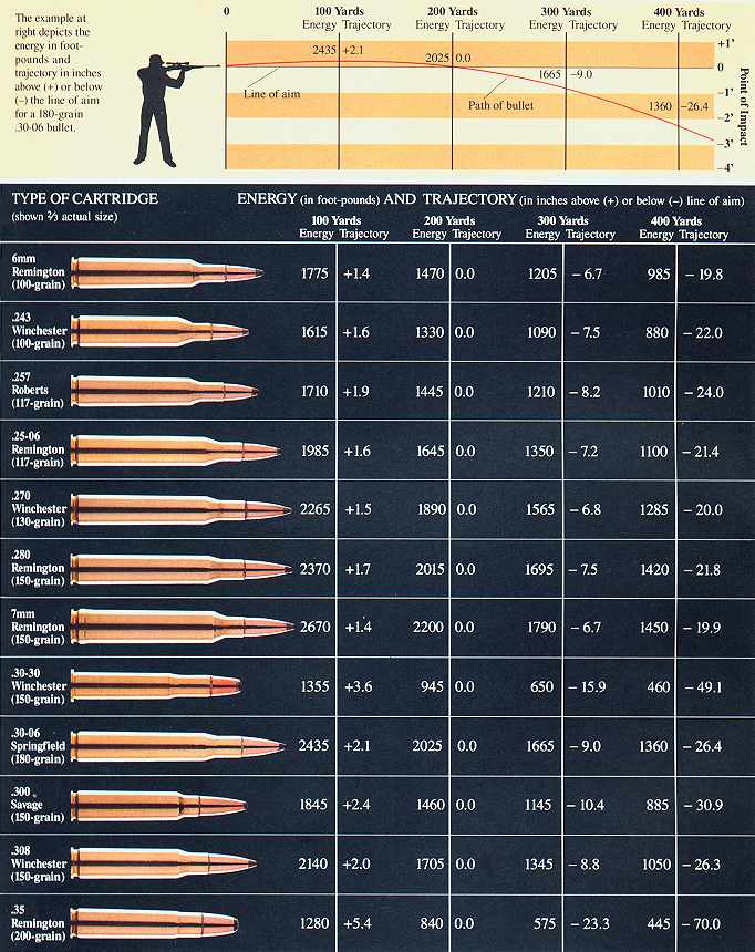 Bullet Trajectory Chart by Caliber