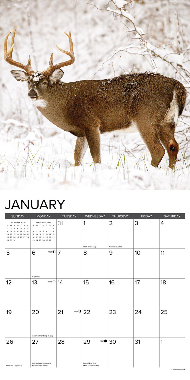 Deer Calendar 2025