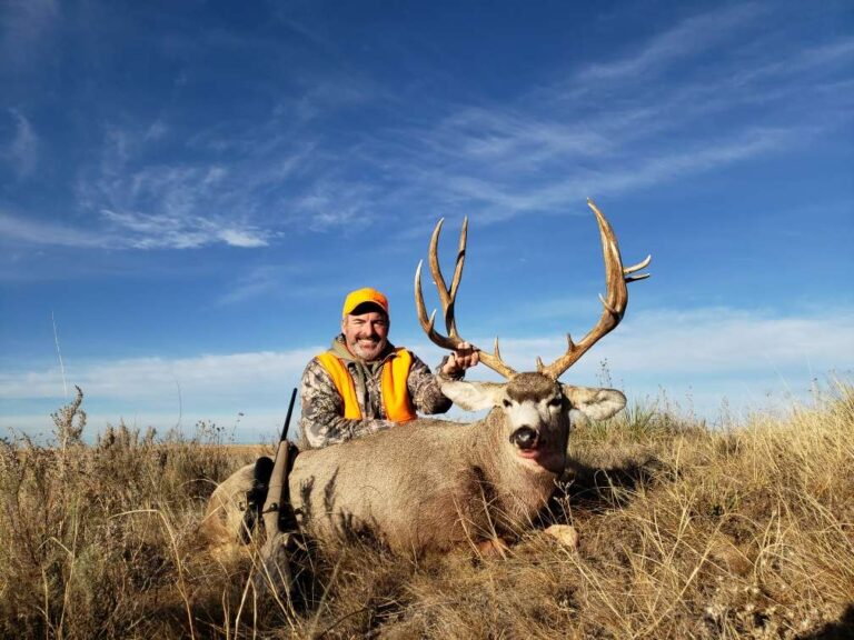 Deer Hunting Season in Colorado