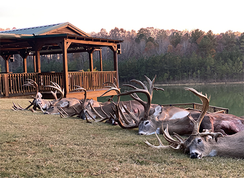 High Fence Deer Hunting near Me