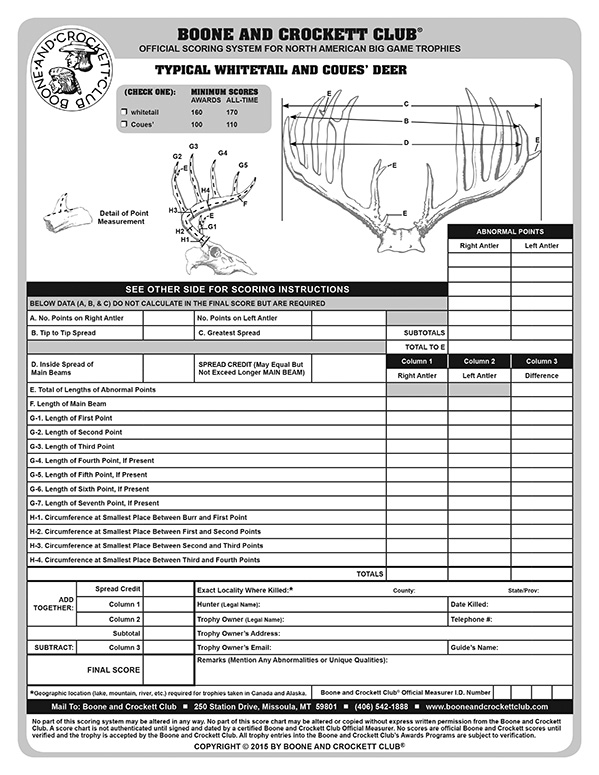 How to Score a Whitetail Deer Boone And Crockett