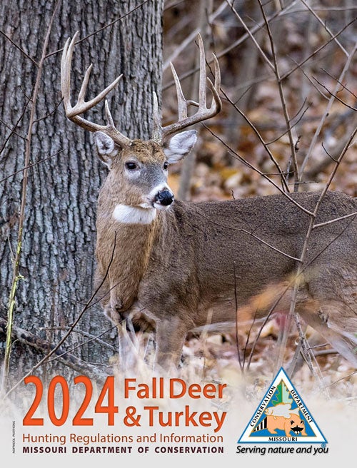 Missouri Deer Season 2024-2025