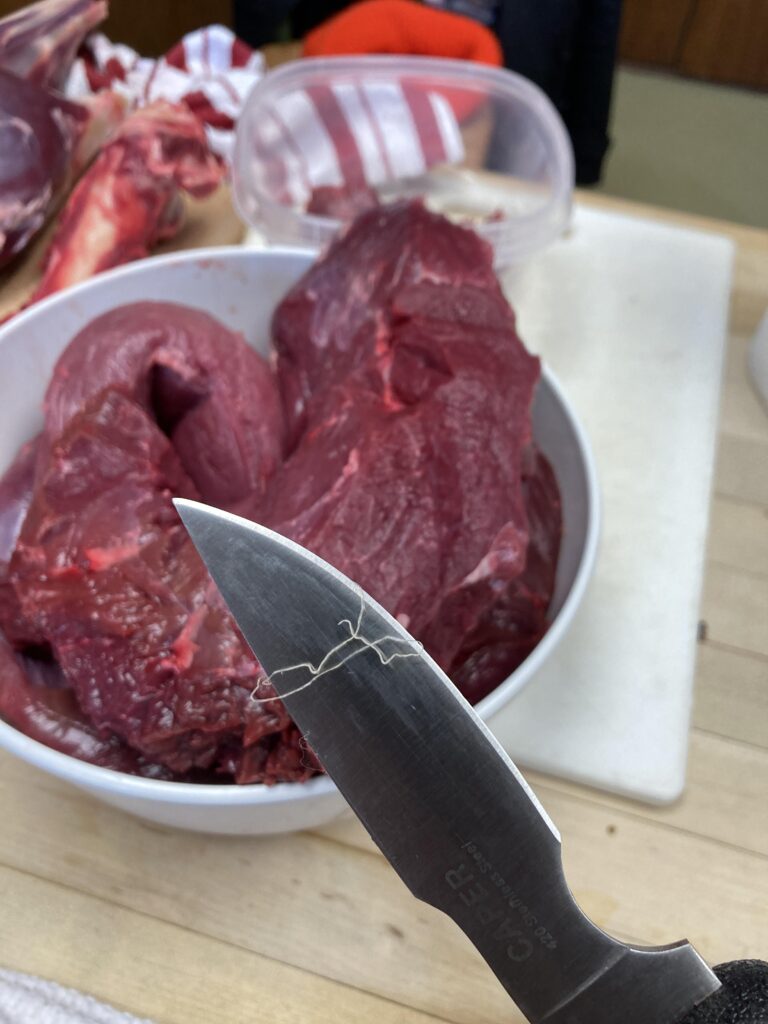 Muscle Worms in Deer Meat