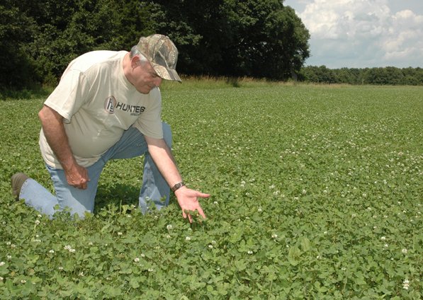 Planting Ladino Clover for Deer